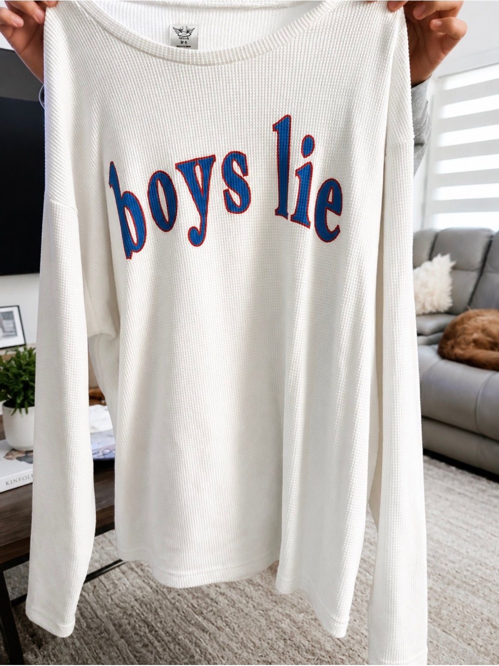 Boys Lie White Waffle-Knit Sweater with Blue & Red Logo